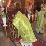 8 июля 2016 г.