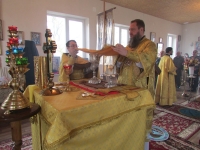 14 ноября 2015 г.