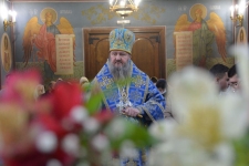 15 февраля 2021 г.