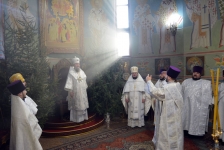 18 января 2019 г.