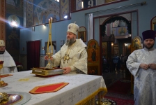 18 января 2019 г.