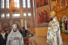 21 ноября 2013 г.
