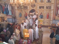 21 ноября 2013 г. Парканы