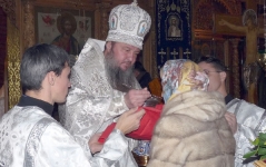 27 ноября 2015 г.
