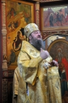 29 ноября 2015 г.