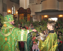 20 апреля 2008 года. Вербное воскресенье